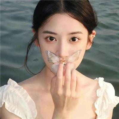 鲨鱼湖泊封面